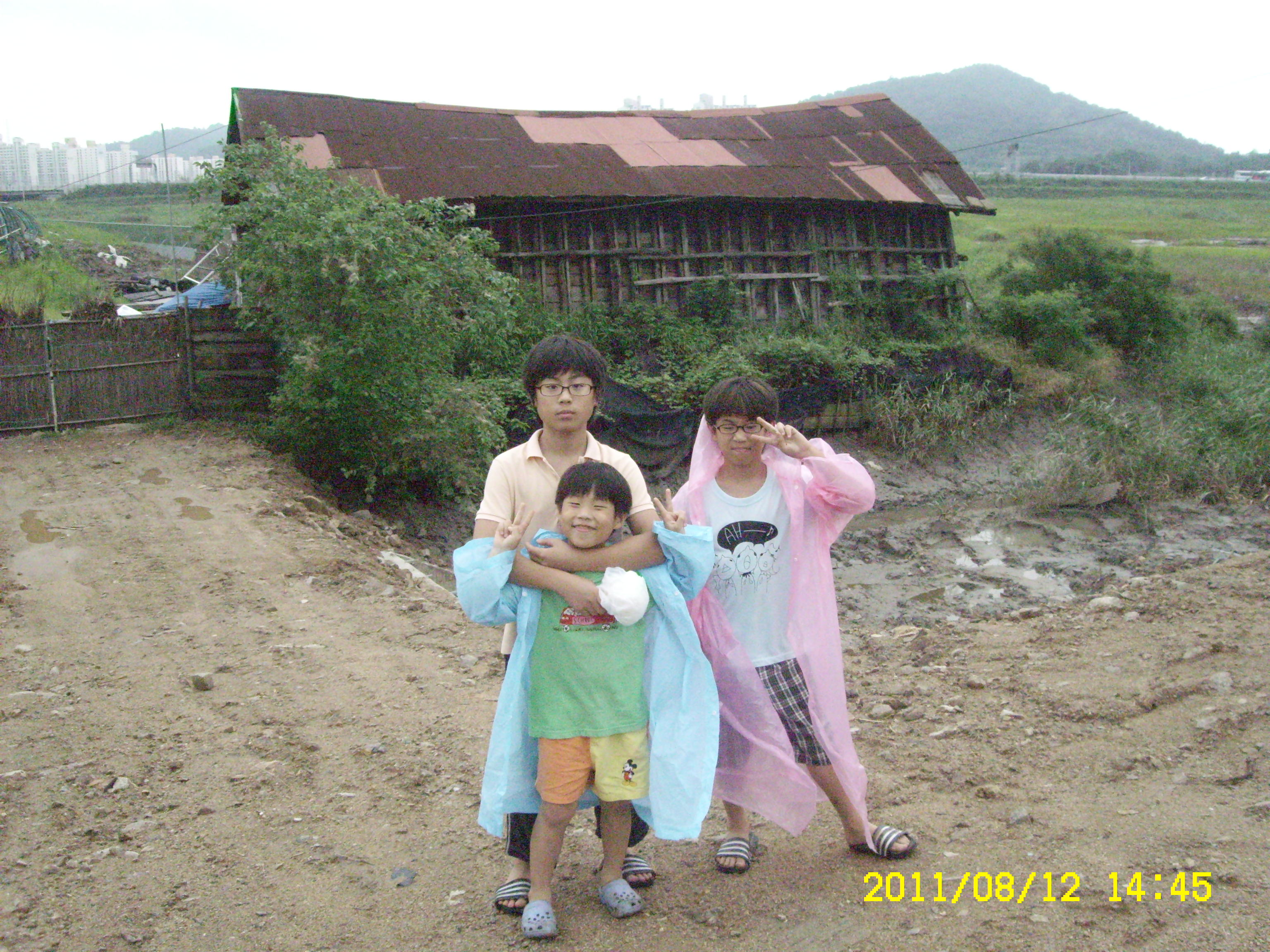 2011년 8월 갯골축제