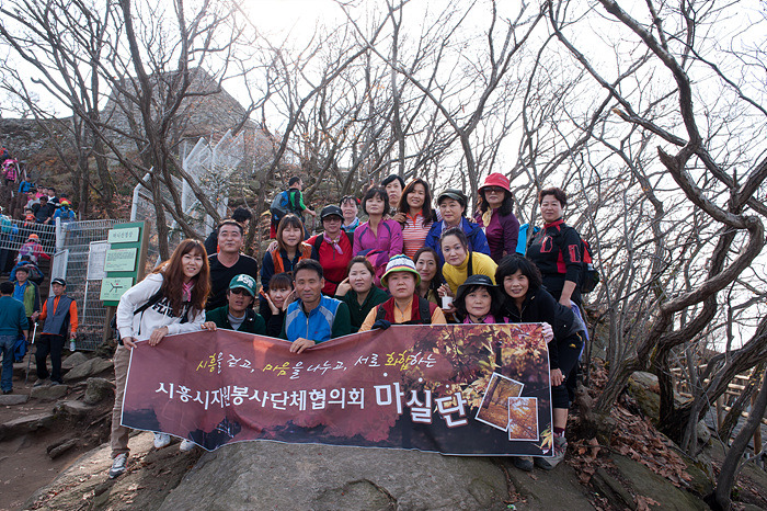 시자협11월 마실단 2